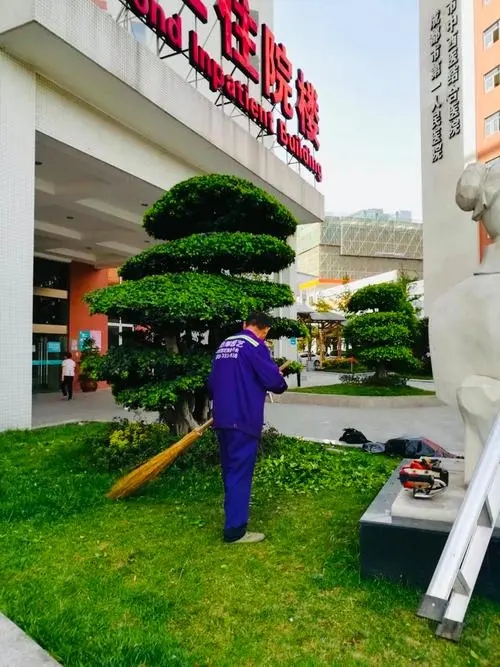 西安醫院綠植出租|西安碧盛園藝租擺方案